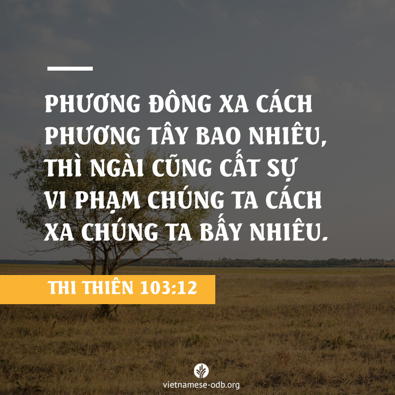 share odb 2018-01-08