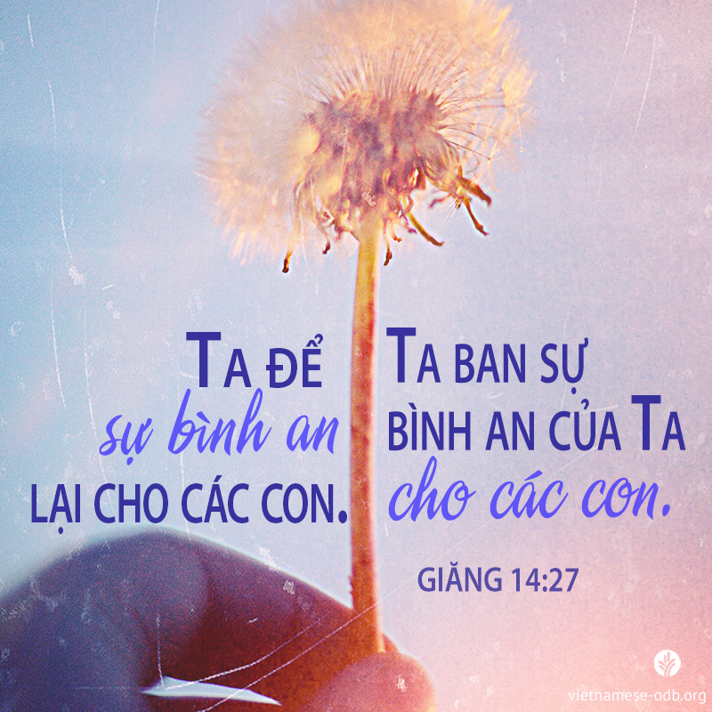 share odb 2017-06-04