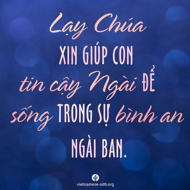 share odb 2017-08-03