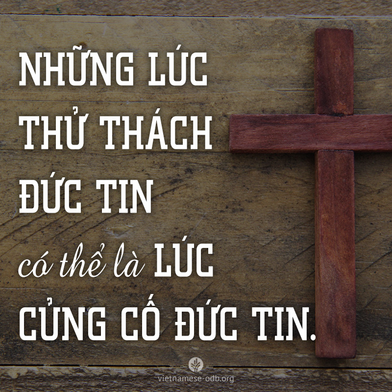 share odb 2017-08-04