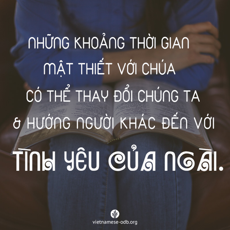 share odb 2017-08-06