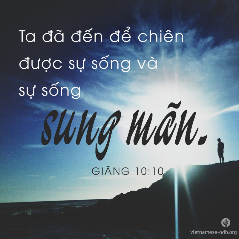 share odb 2017-08-07 share odb 2017-08-07