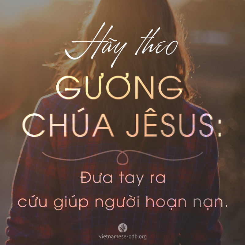 share odb 2017-08-08 share odb 2017-08-08