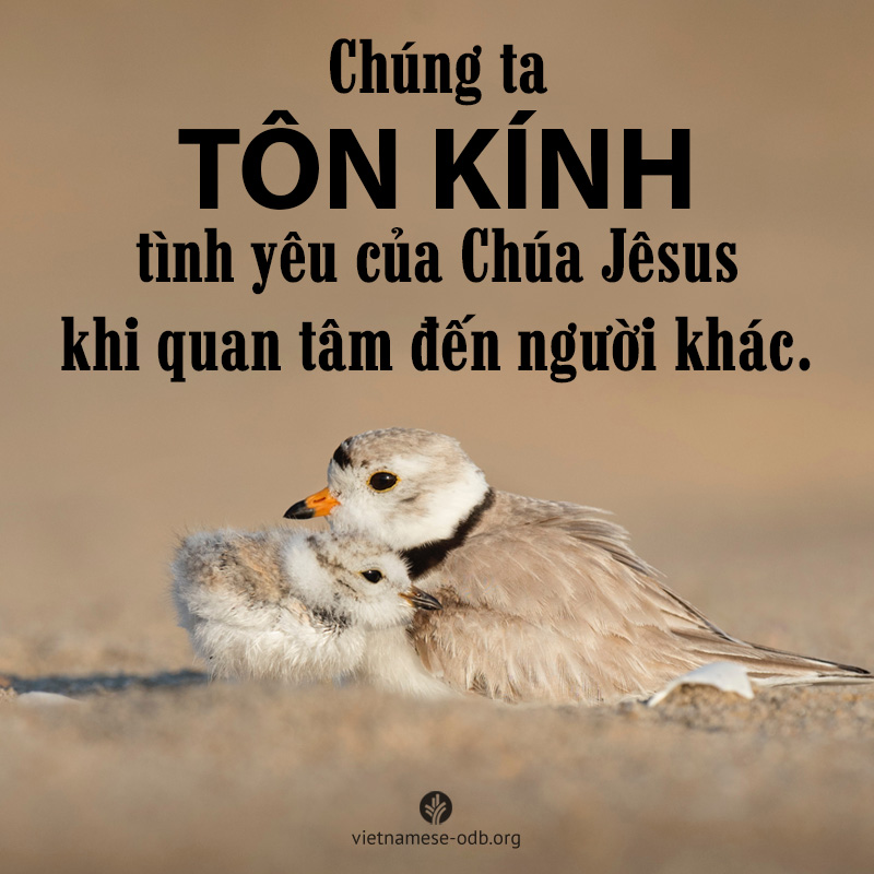 share odb 2017-08-09 share odb 2017-08-09