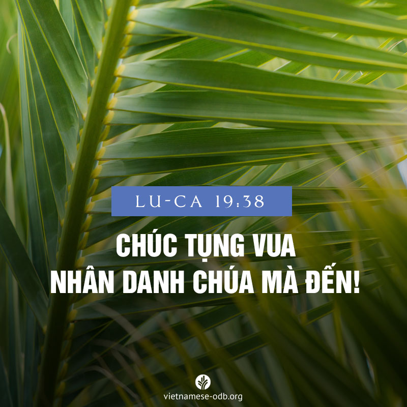 share odb 2018-03-25 share odb 2018-03-25