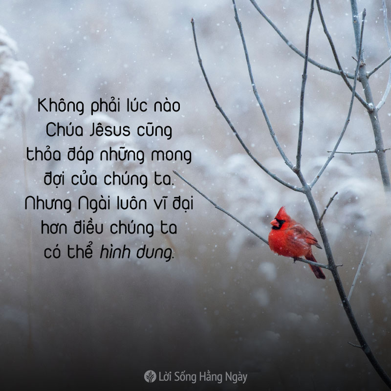 share odb 2019-01-09 share odb 2019-01-09