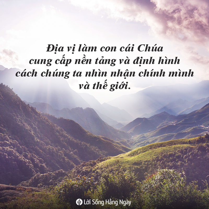 share odb 2019-01-22 share odb 2019-01-22