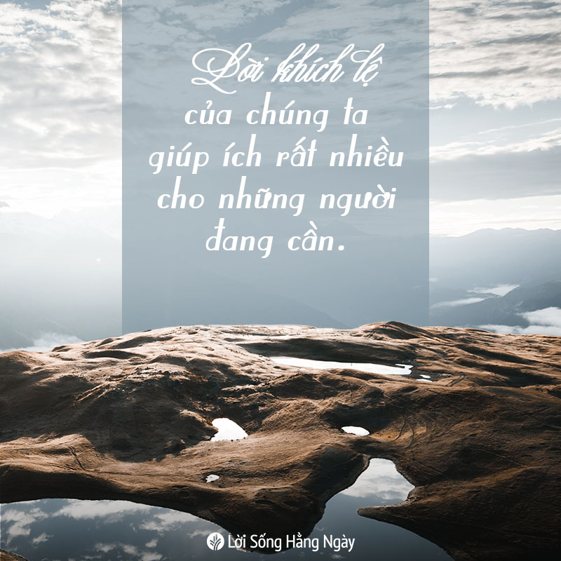share odb 2019-02-20 share odb 2019-02-20