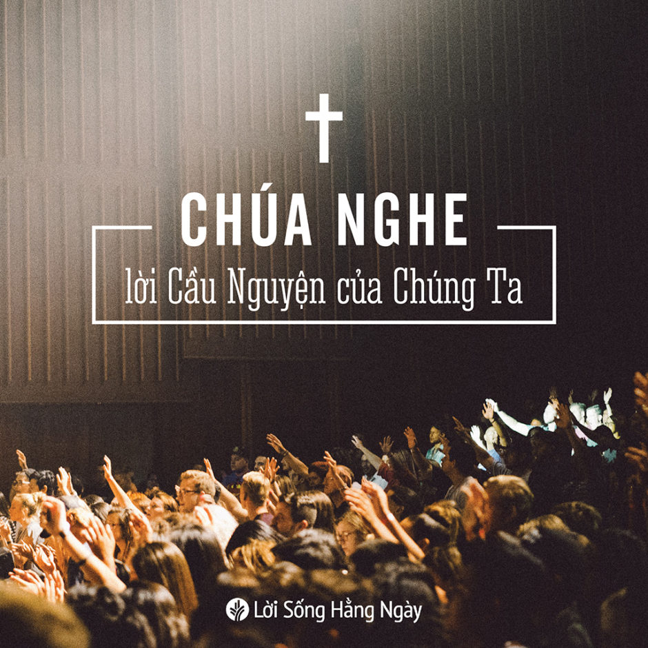 share odb 2019-05-02 share odb 2019-05-02