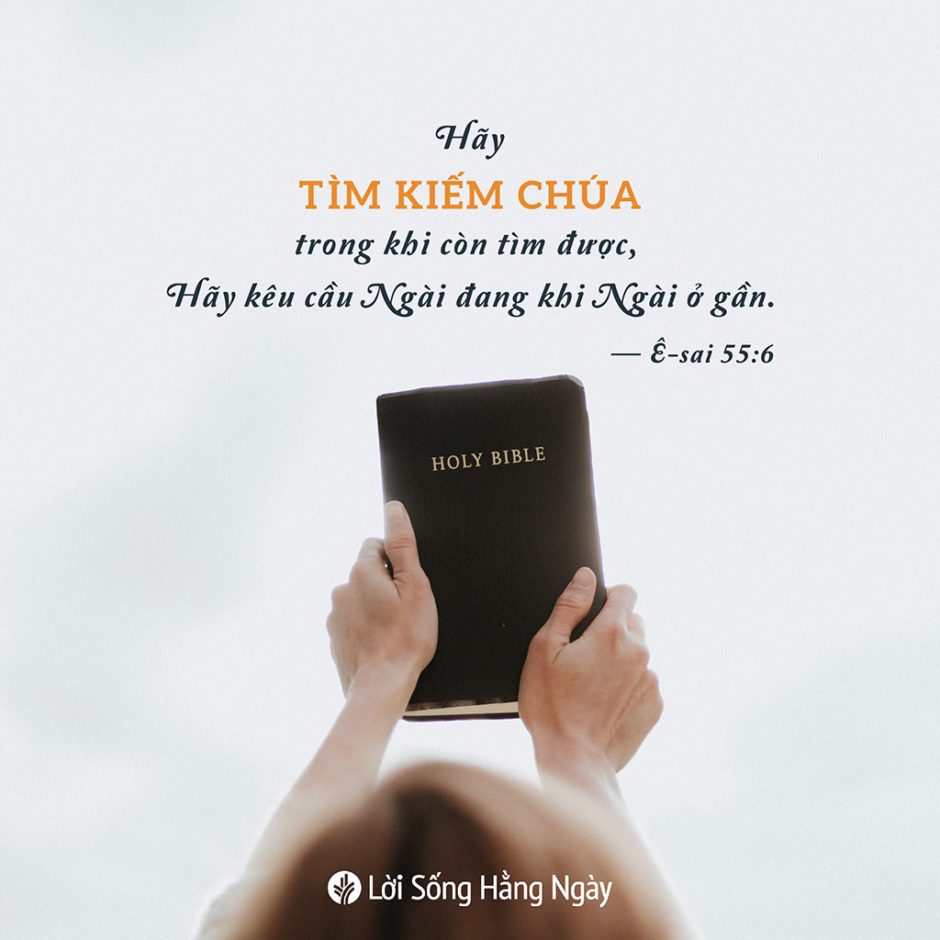 share odb 2019-05-06