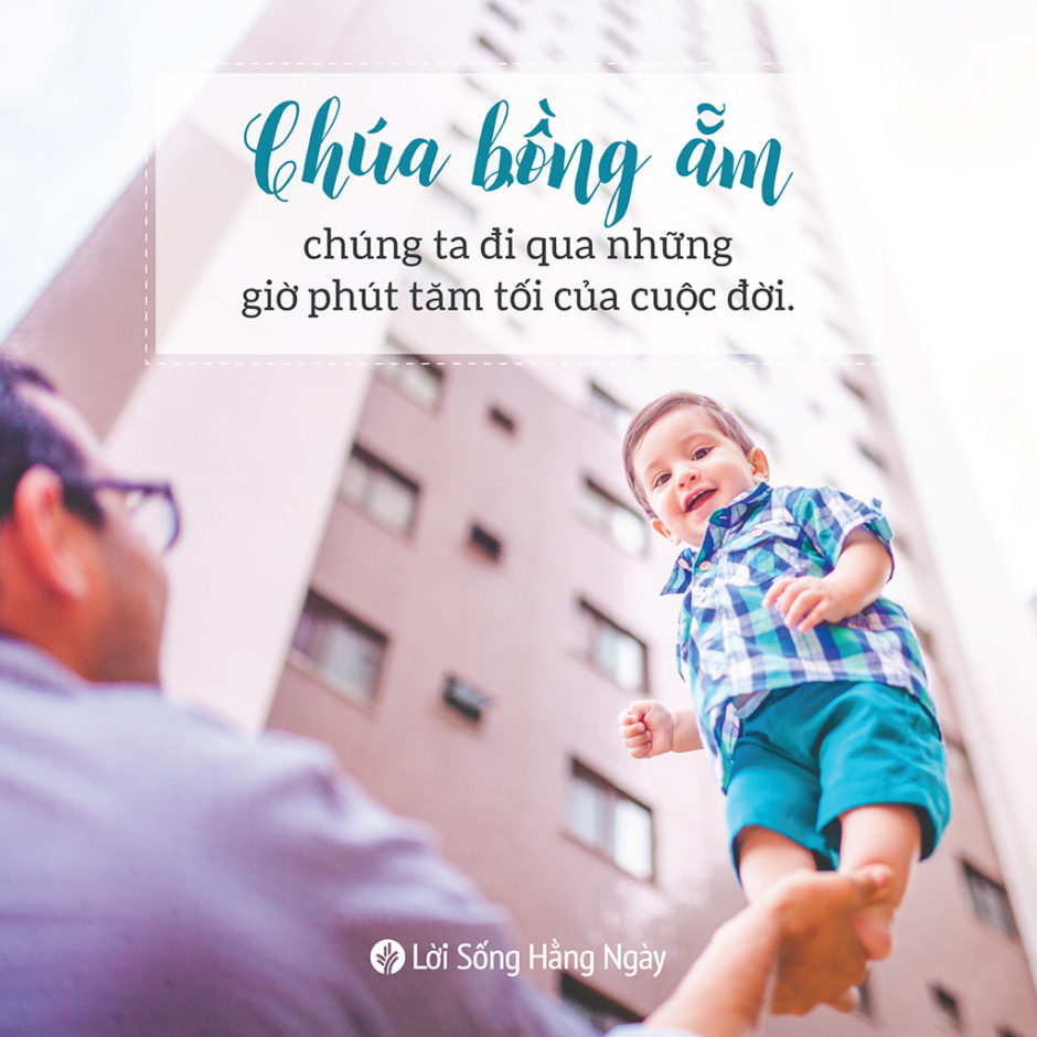 share odb 2019-05-08