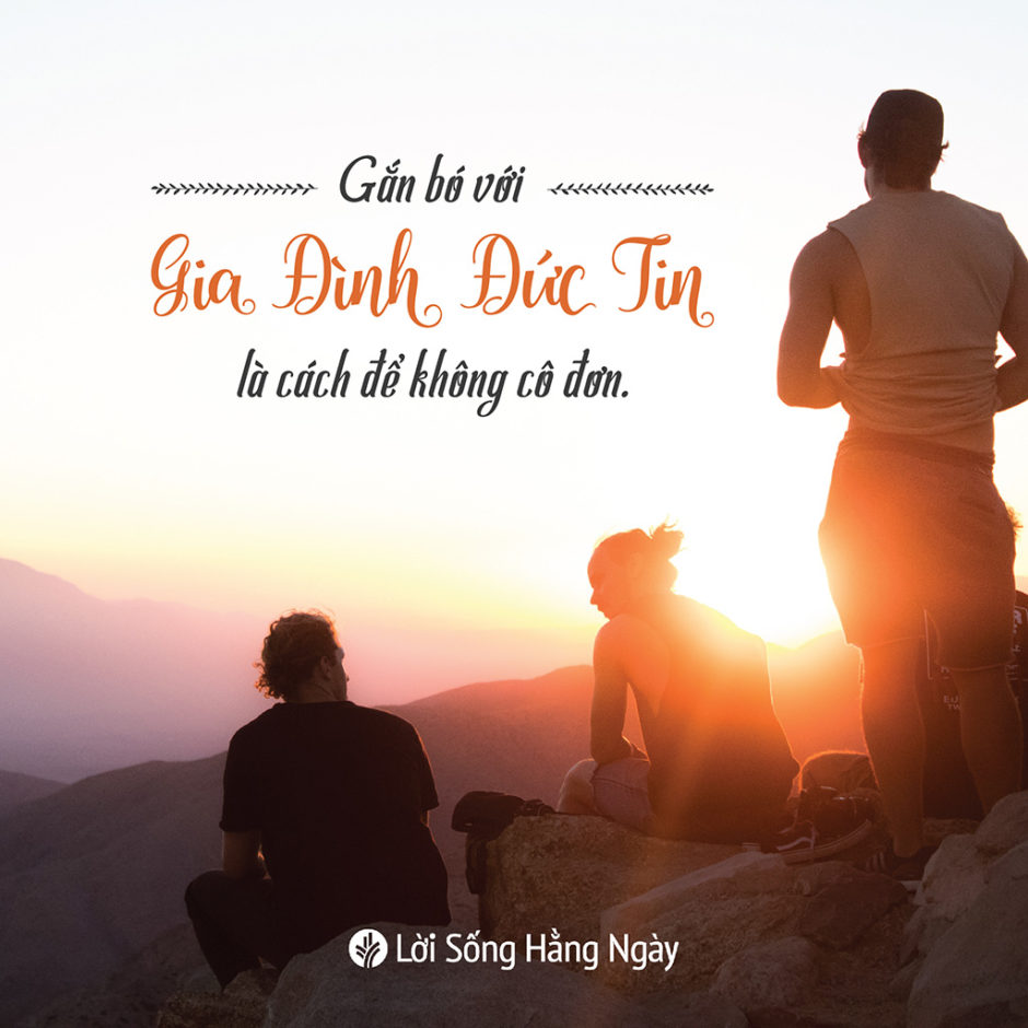 share odb 2019-05-10