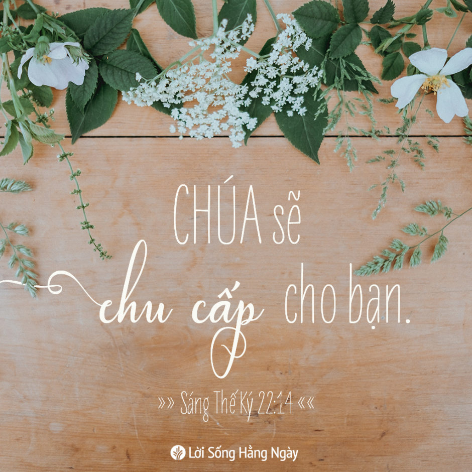 share odb 2019-05-11