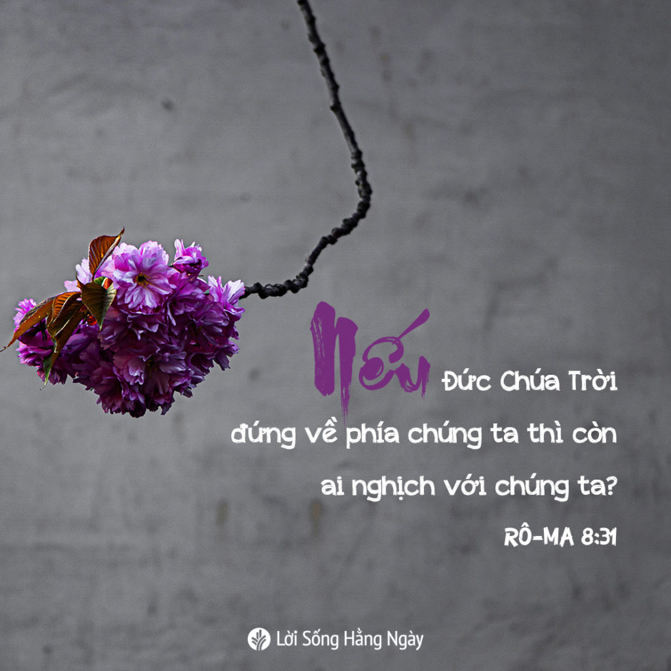 share odb 2019-08-30 share odb 2019-08-30