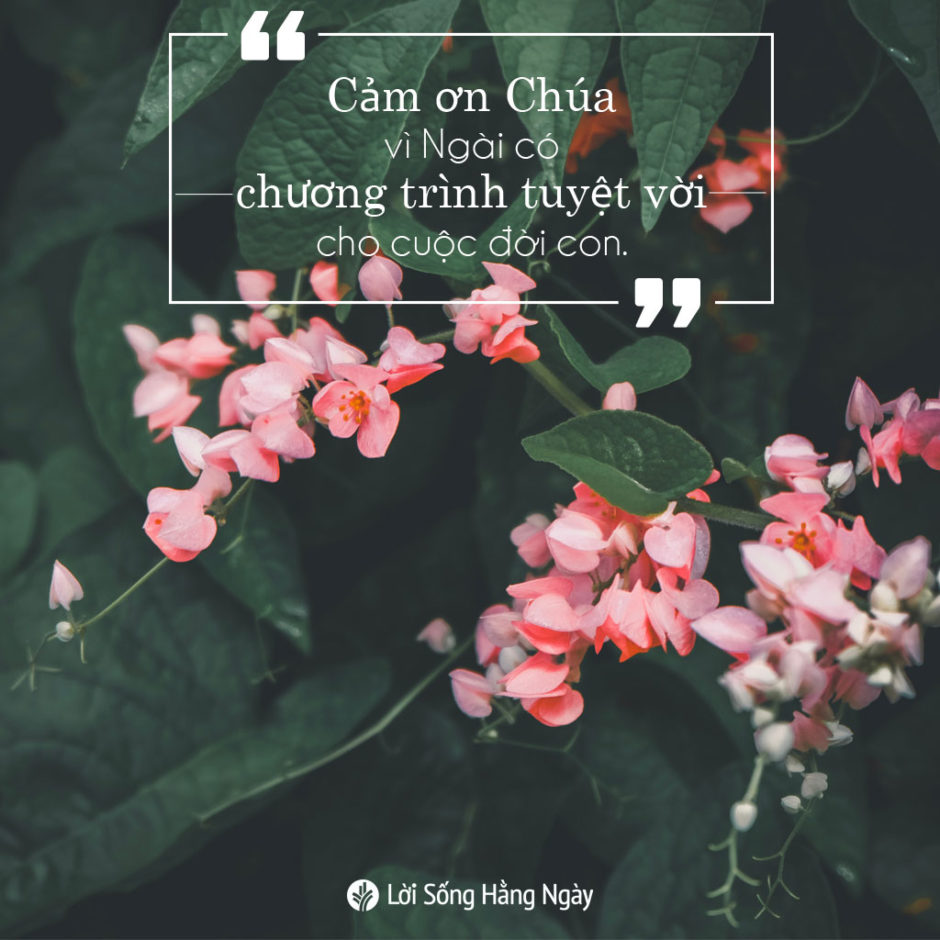 share odb 2019-10-29 share odb 2019-10-29