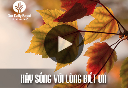 Hãy Sống Với Lòng Biết Ơn