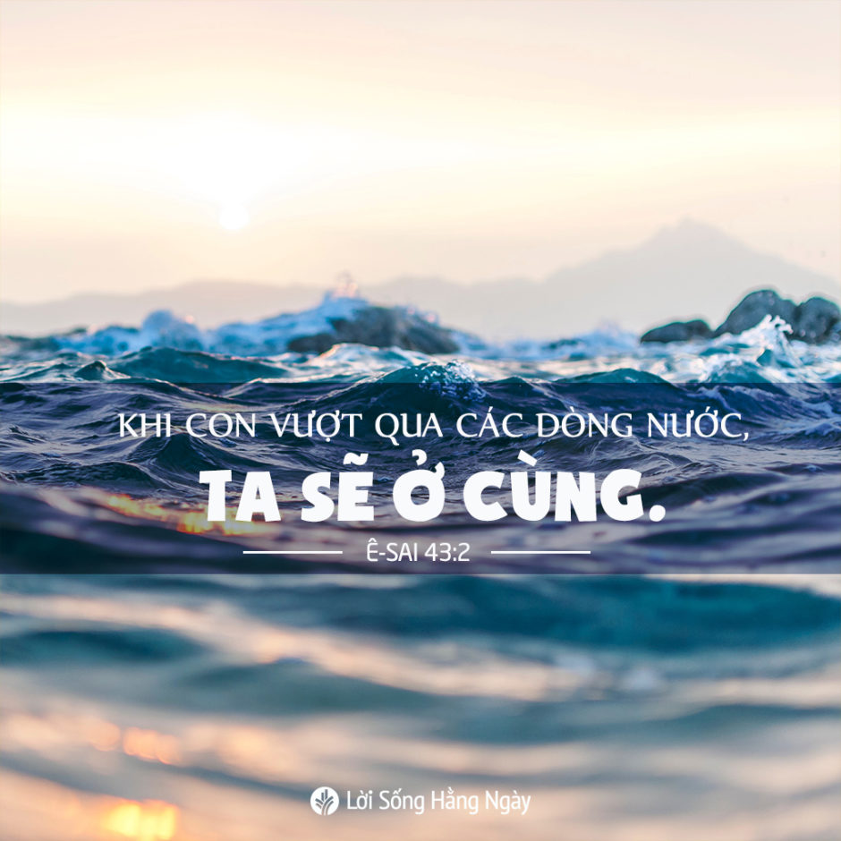 share odb 2020-04-27 share odb 2020-04-27