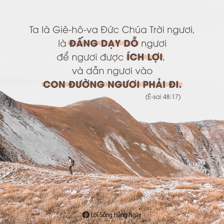 share odb 2020-06-11