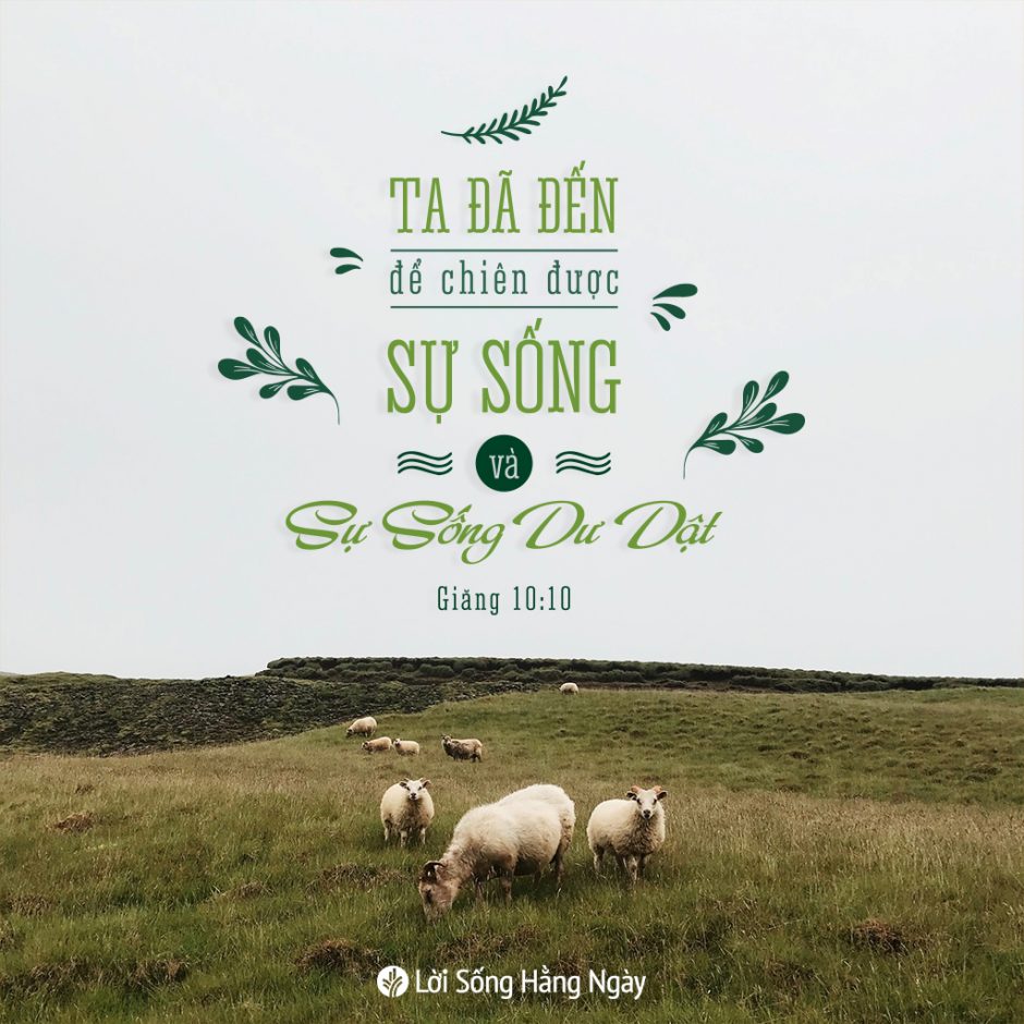 share odb 2020-06-19 share odb 2020-06-19