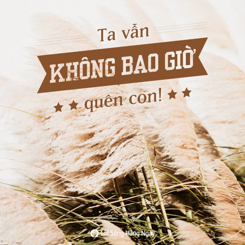 share odb 2020-09-03 share odb 2020-09-03