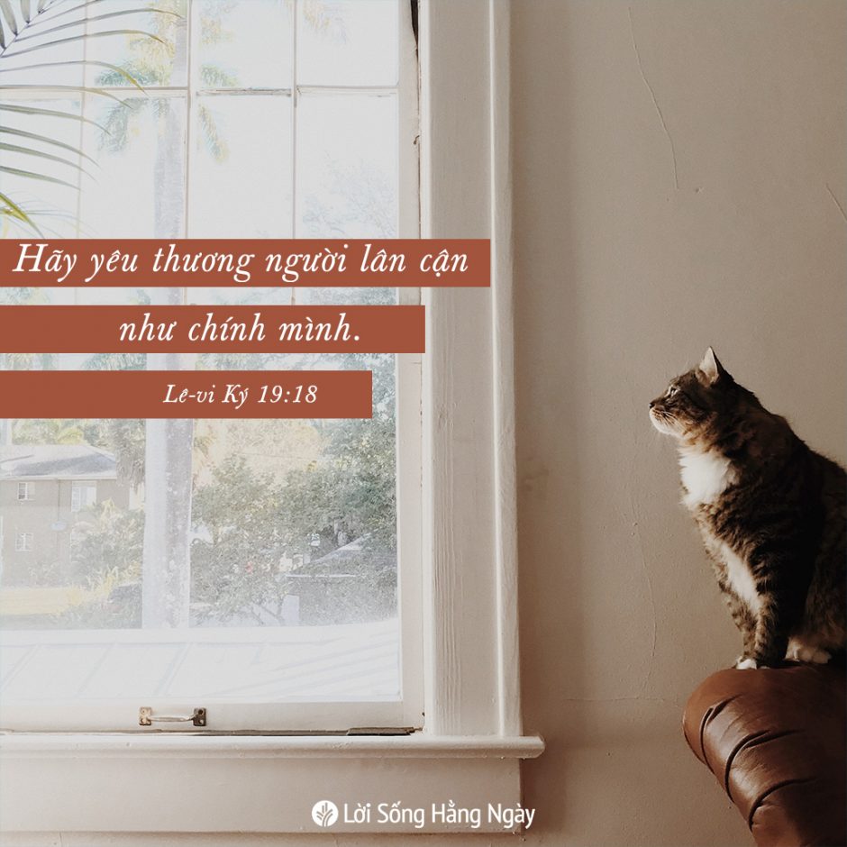 share odb 2020-09-18 share odb 2020-09-18