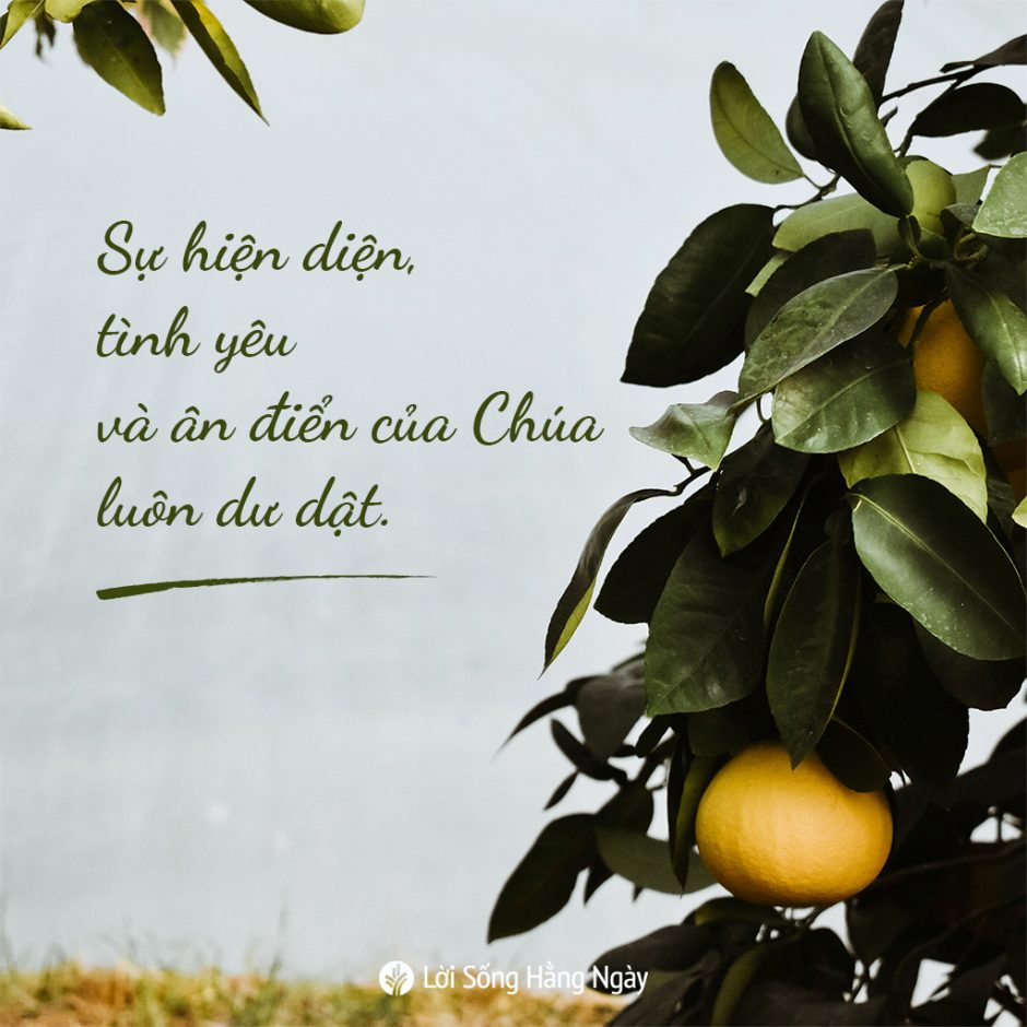 share odb 2020-09-23 share odb 2020-09-23