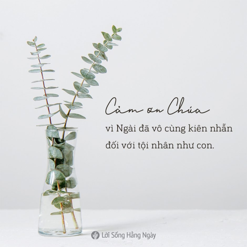 share odb 2020-10-21 share odb 2020-10-21