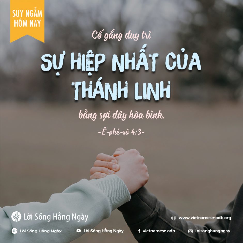 Share ODB 2021-12-08