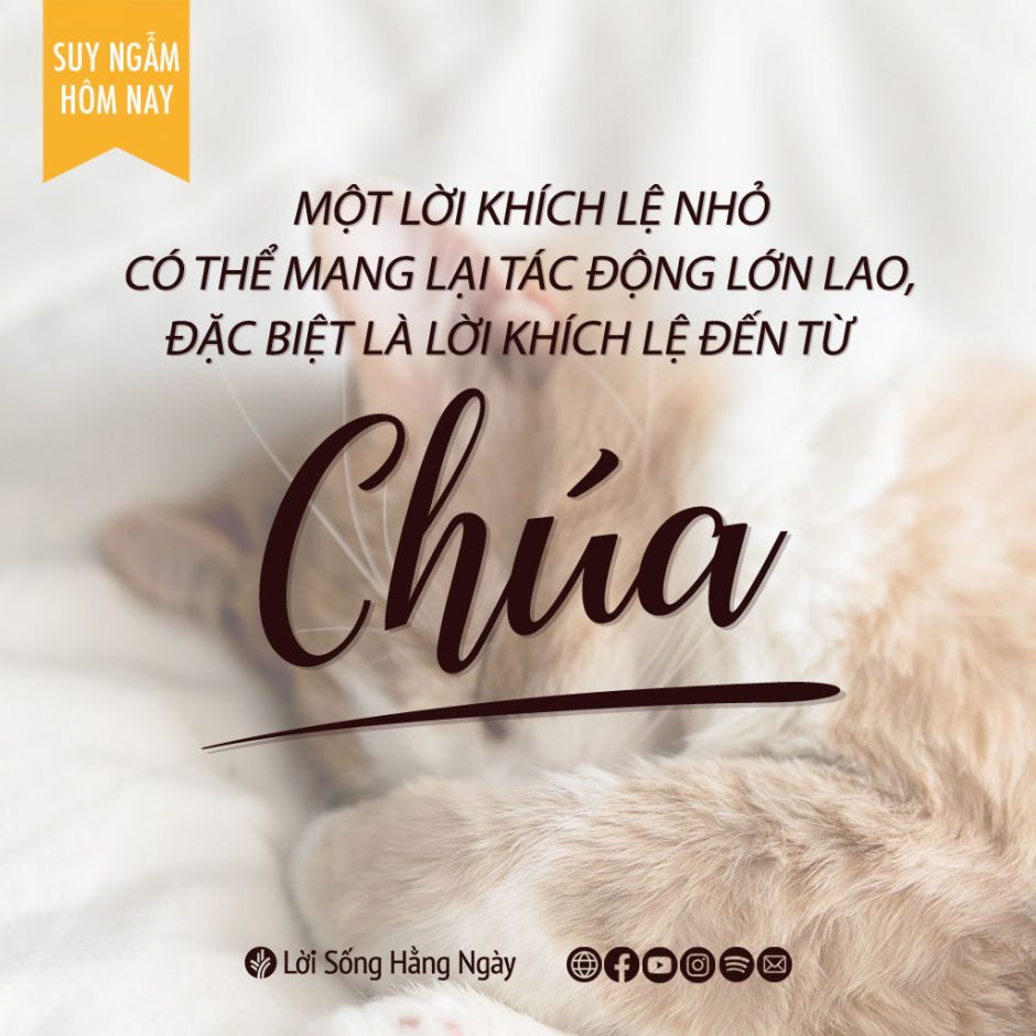 Share ODB 2022-03-03 Share ODB 2022-03-03