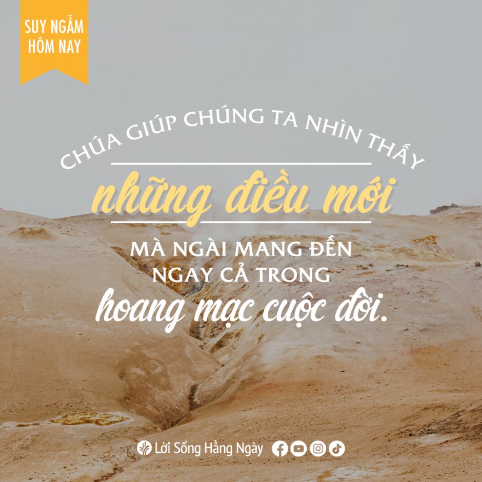 Share ODB 2023-01-04
