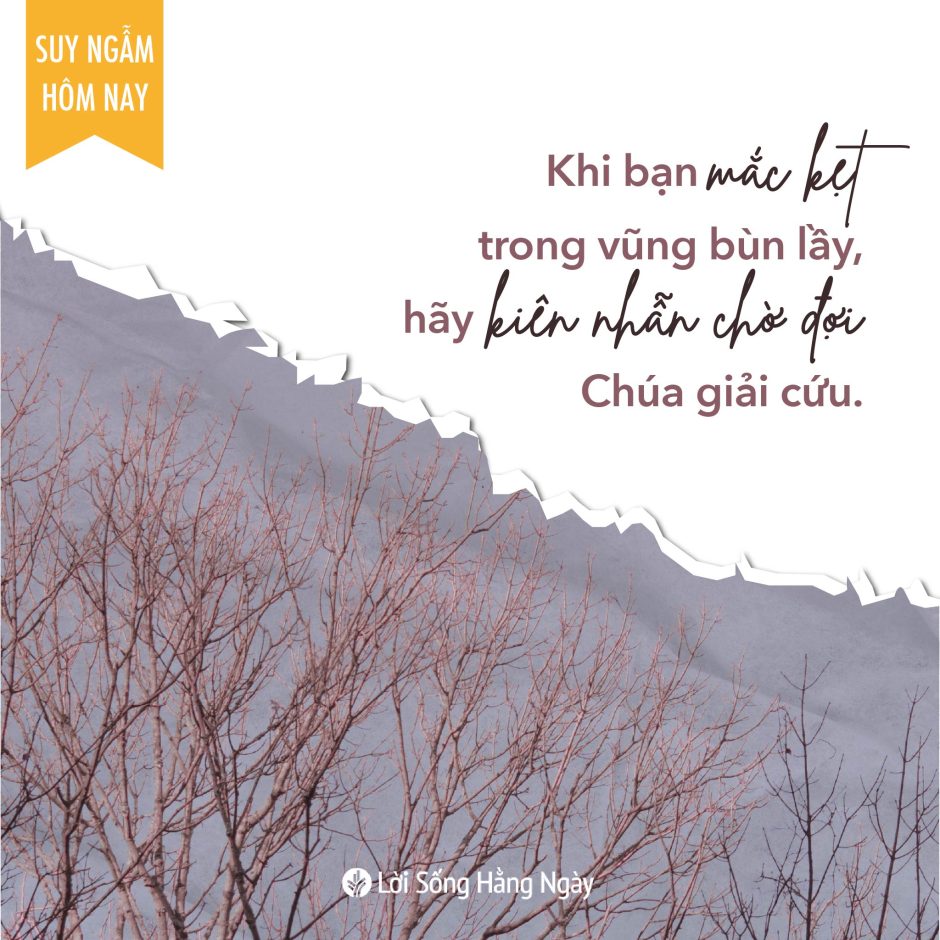 Share ODB 2023-11-02