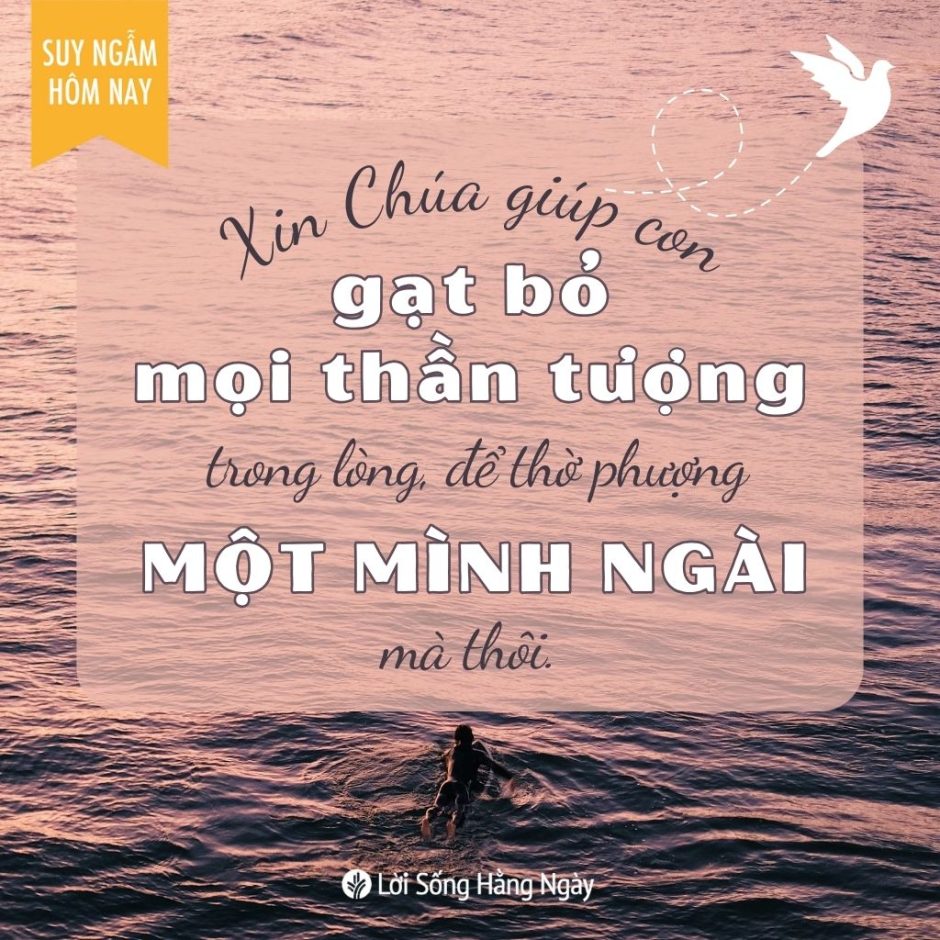 Share ODB 2023-11-04
