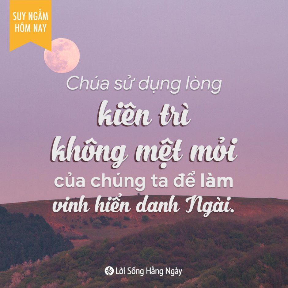 Share ODB 2023-11-06