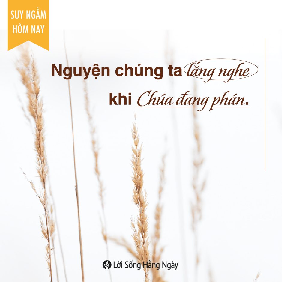 Share ODB 2023-11-08