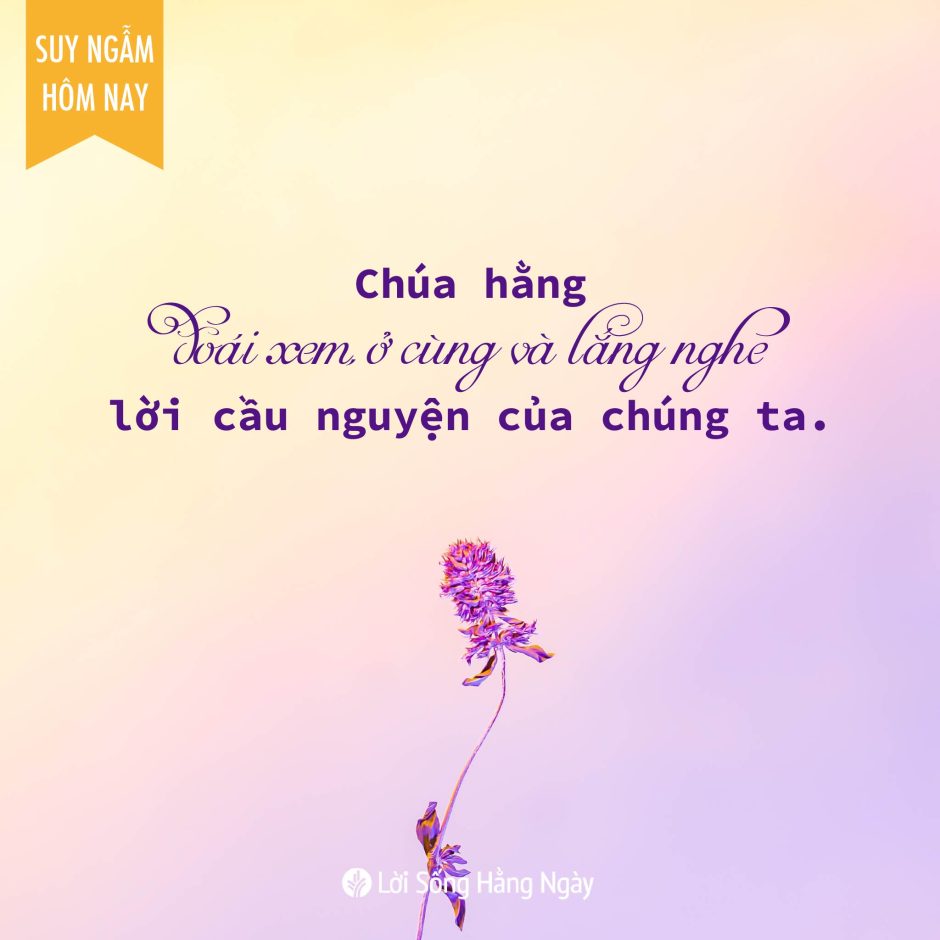 Share ODB 2023-11-13