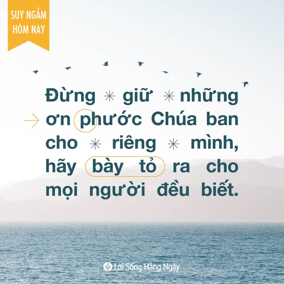 Share ODB 2023-11-16