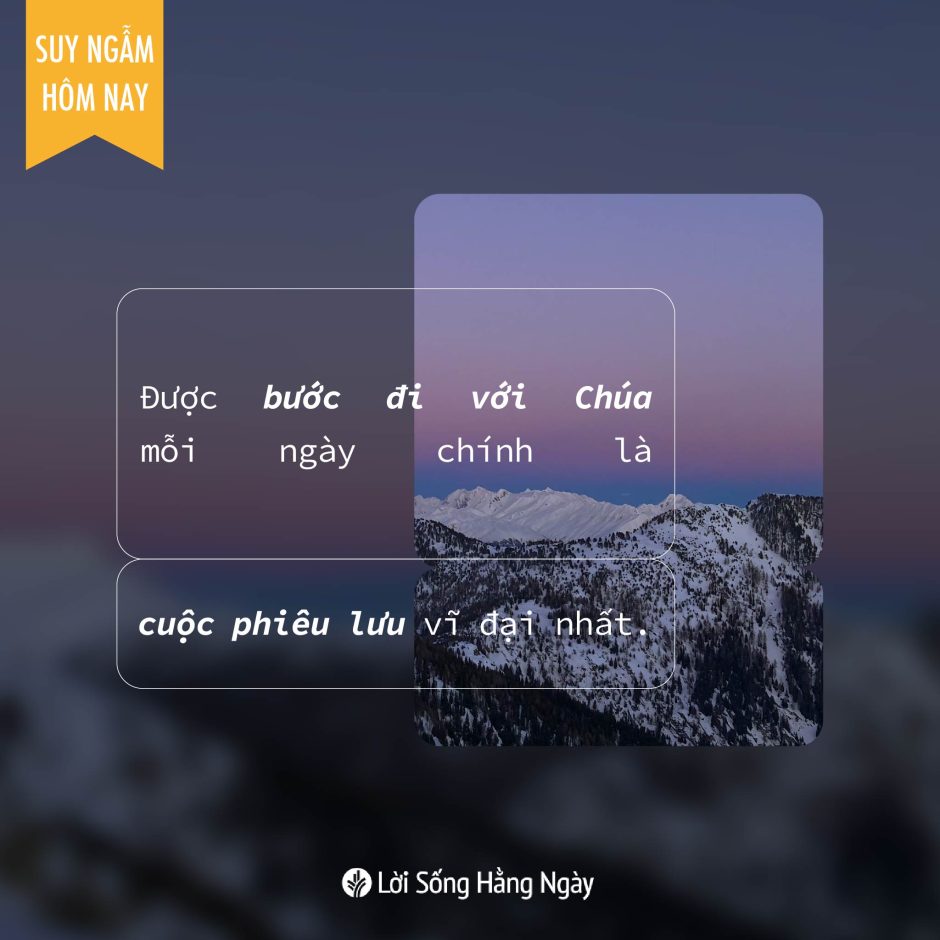 Share ODB 2023-11-17