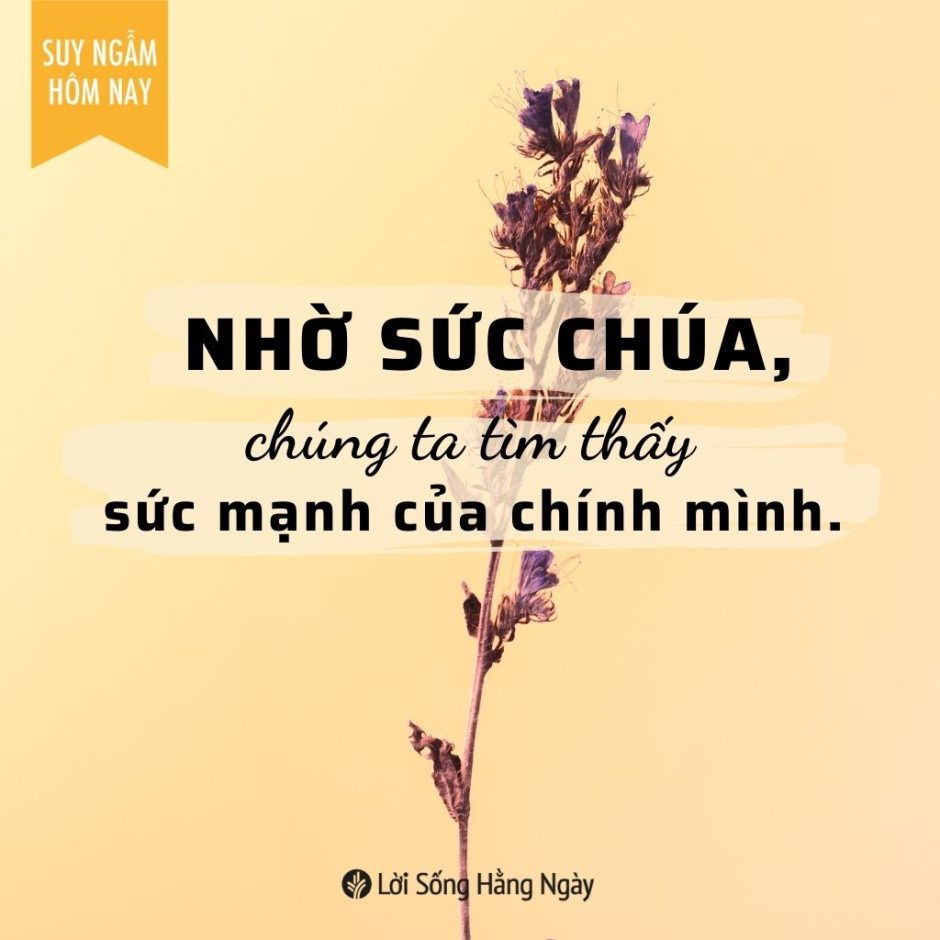 Share ODB 2023-11-19