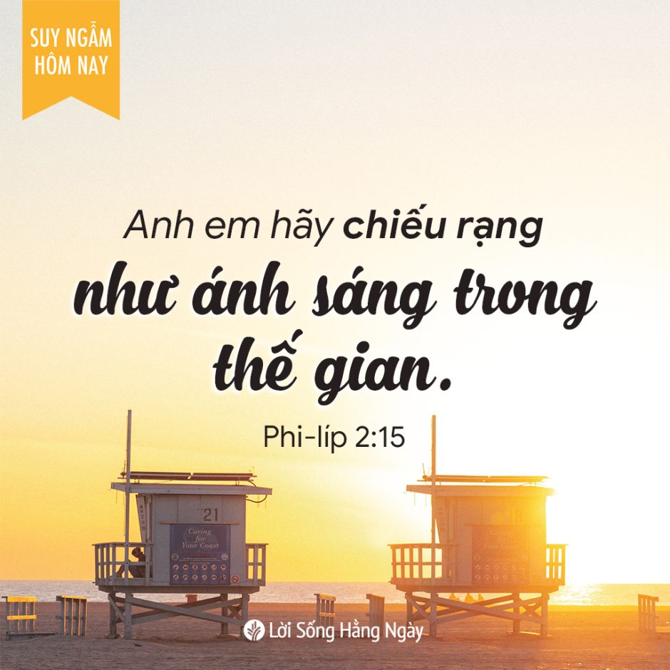 Share ODB 2023-11-22