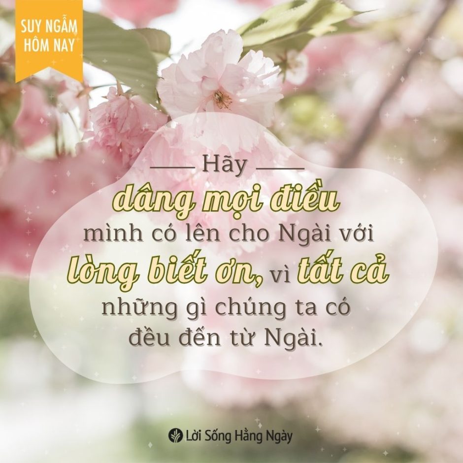 Share ODB 2023-11-26