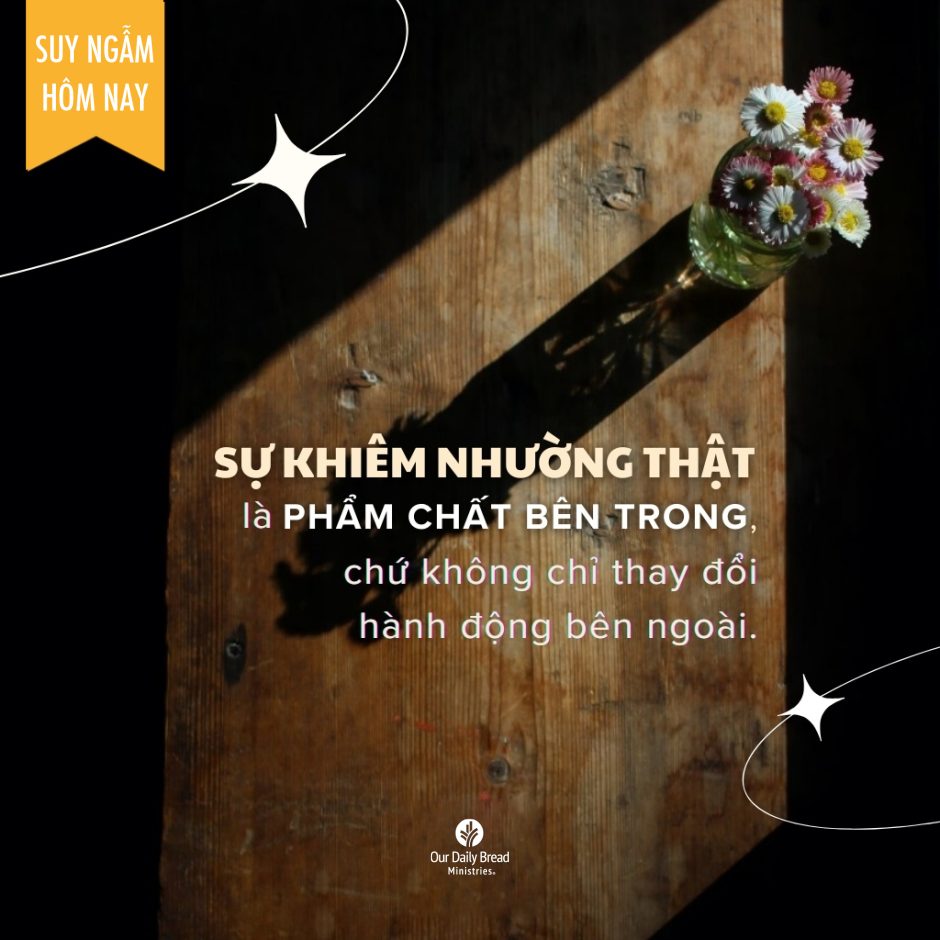 Share ODB 2024-02-01