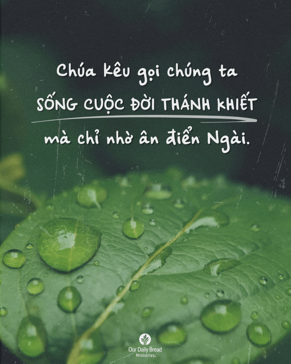 Share ODB 2024-06-01