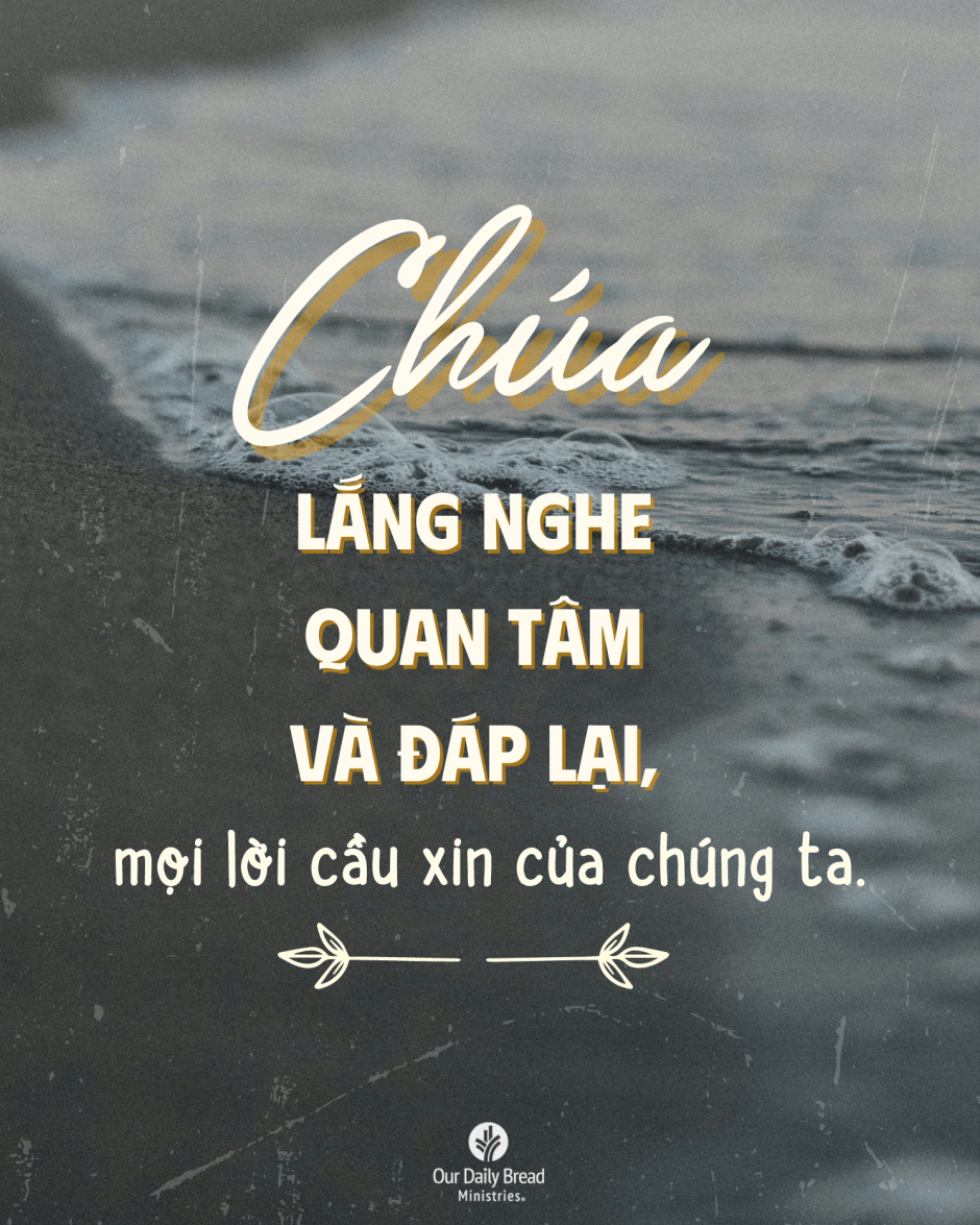 Share ODB 2024-09-03