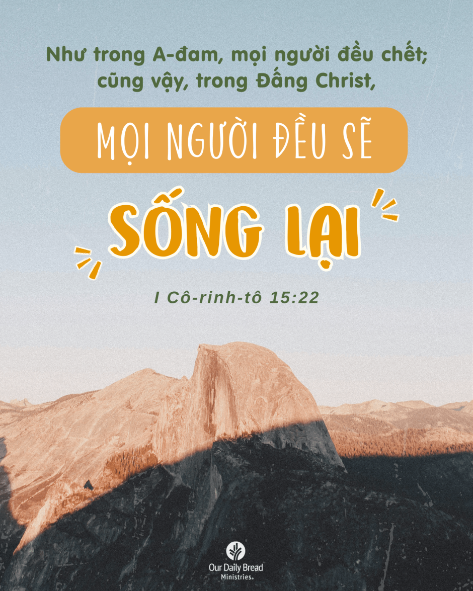 Share ODB 2024-09-15