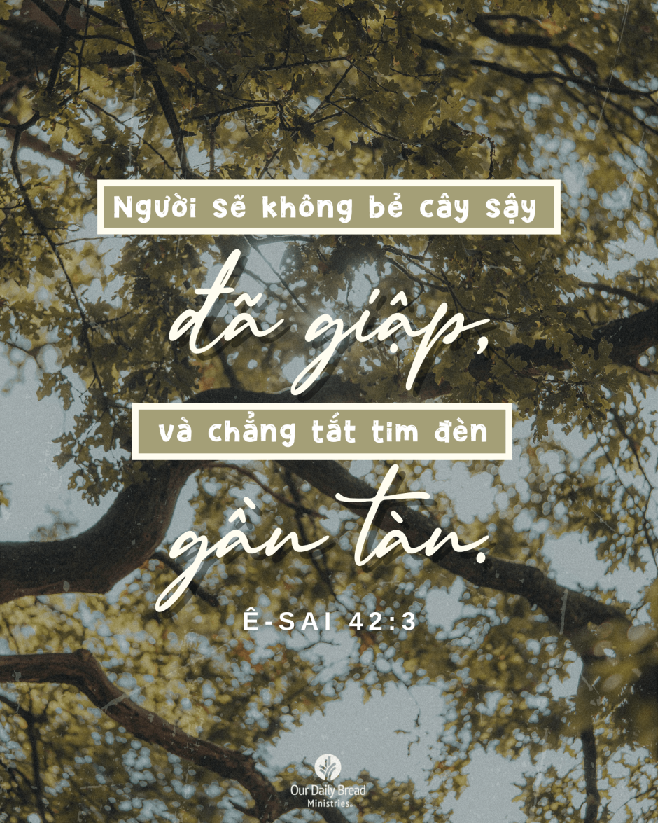 Share ODB 2024-09-18