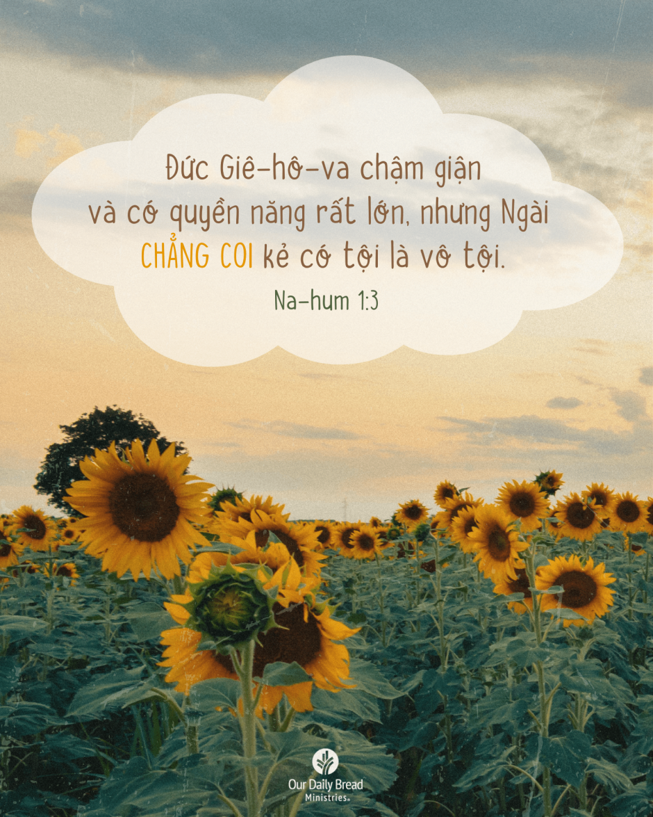Share ODB 2024-09-20