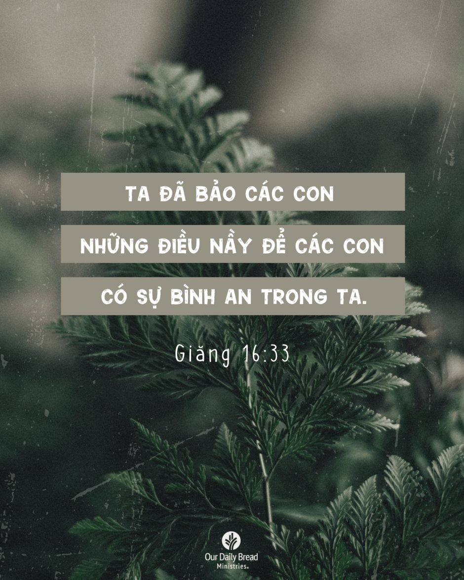 Share ODB 2024-09-21