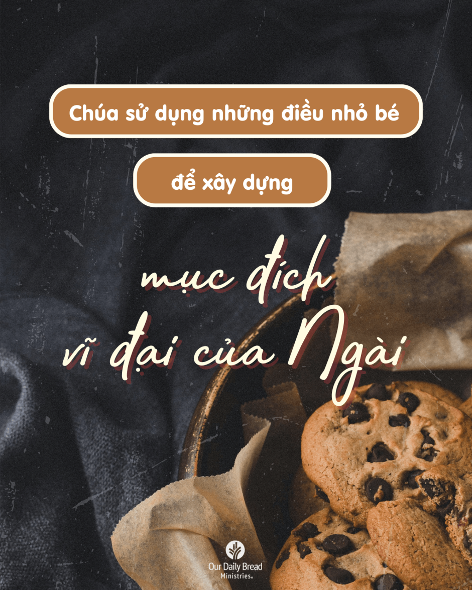 Share ODB 2024-09-30