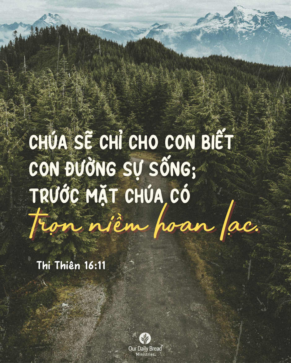 Share ODB 2024-09-19
