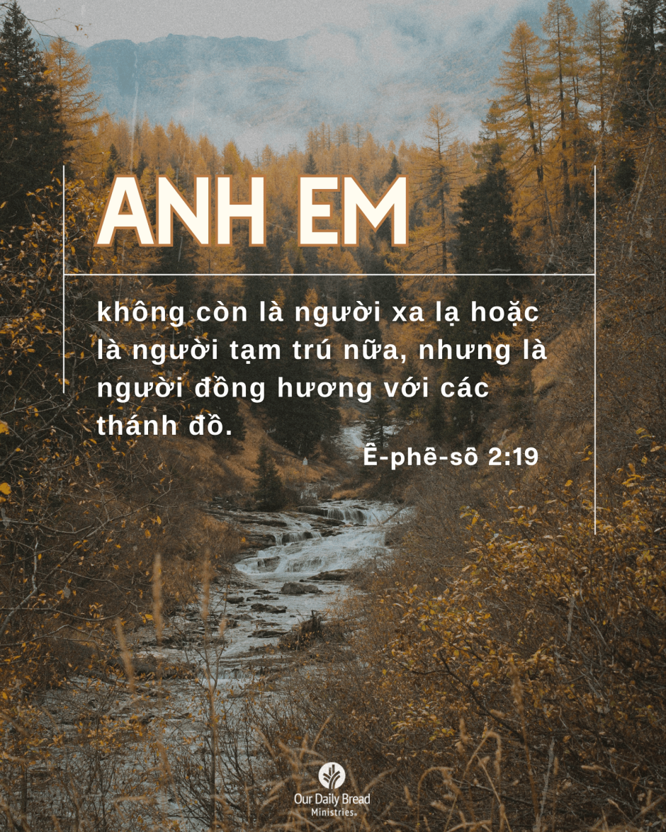 Share ODB 2024-09-23